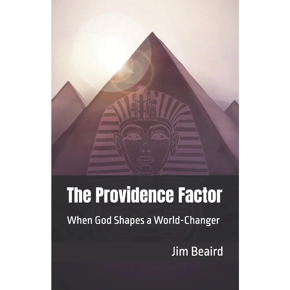 USED-The Providence Factor: When God Shapes a World-Changer by Beaird, Jim (Paperback)