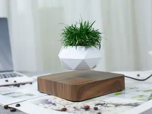 Floating Magnetic Levitation Planter Flower Pot for Succulents and Mini Small Plants Modern Indoor Home Decor Gift for Plant Lovers with Container