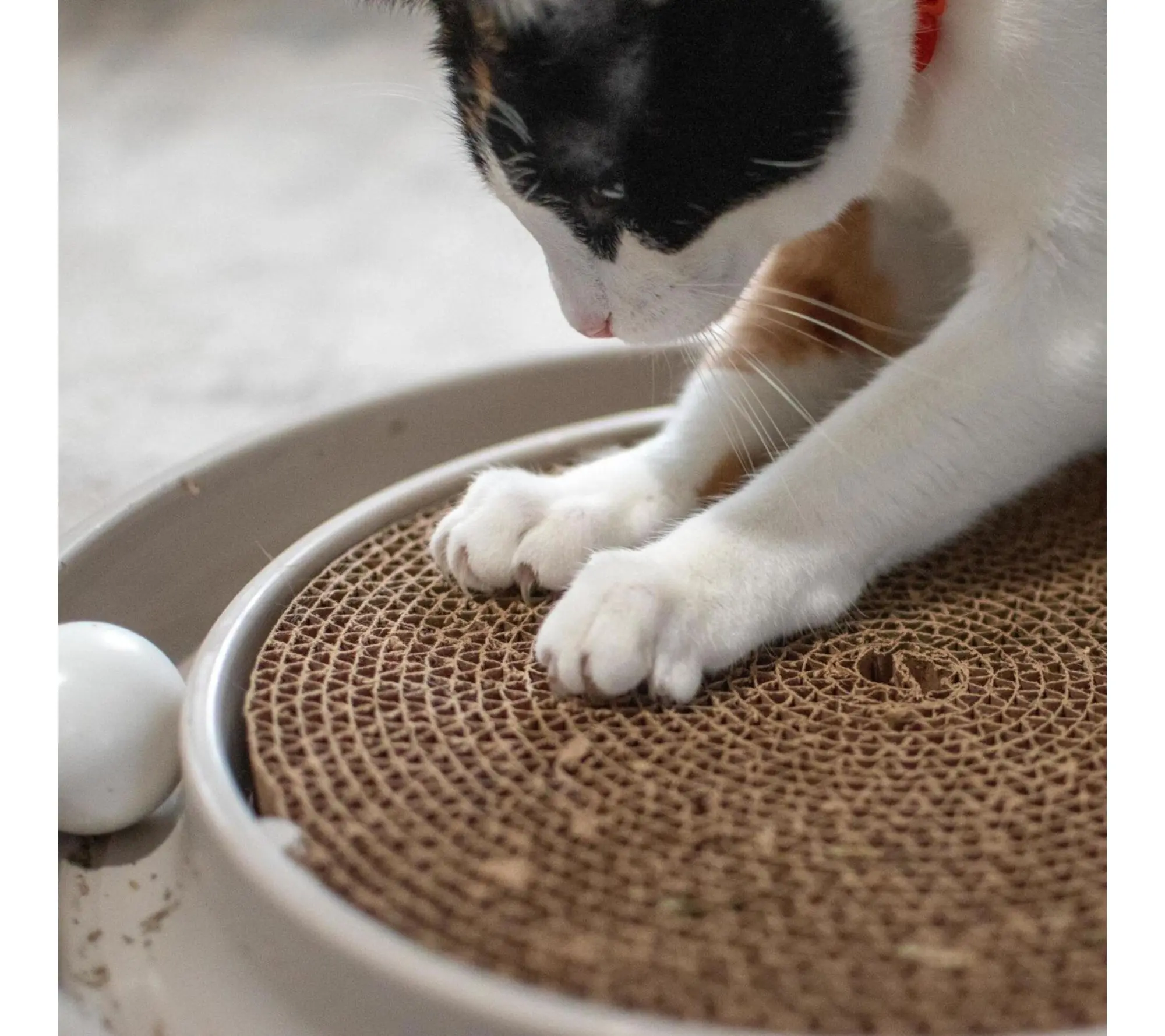 Turbo  15.5" Round Racetrack Scratcher Eco Cat Toy