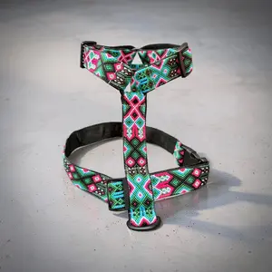 Folly Harness