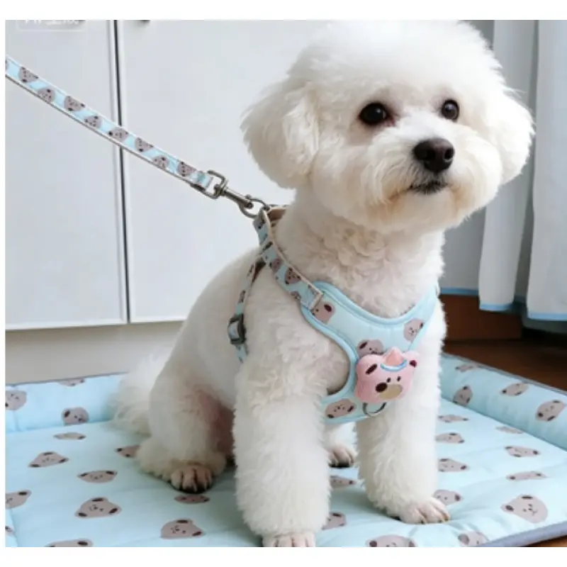 Dog Leash Anti-Escape Outdoor Special Dog Leash Chest Harness Walking Dog Rope Cat Leash Pet Anti-Lost Chest Harness Chain Universal Dog Cat Leash dog harness for small dogs