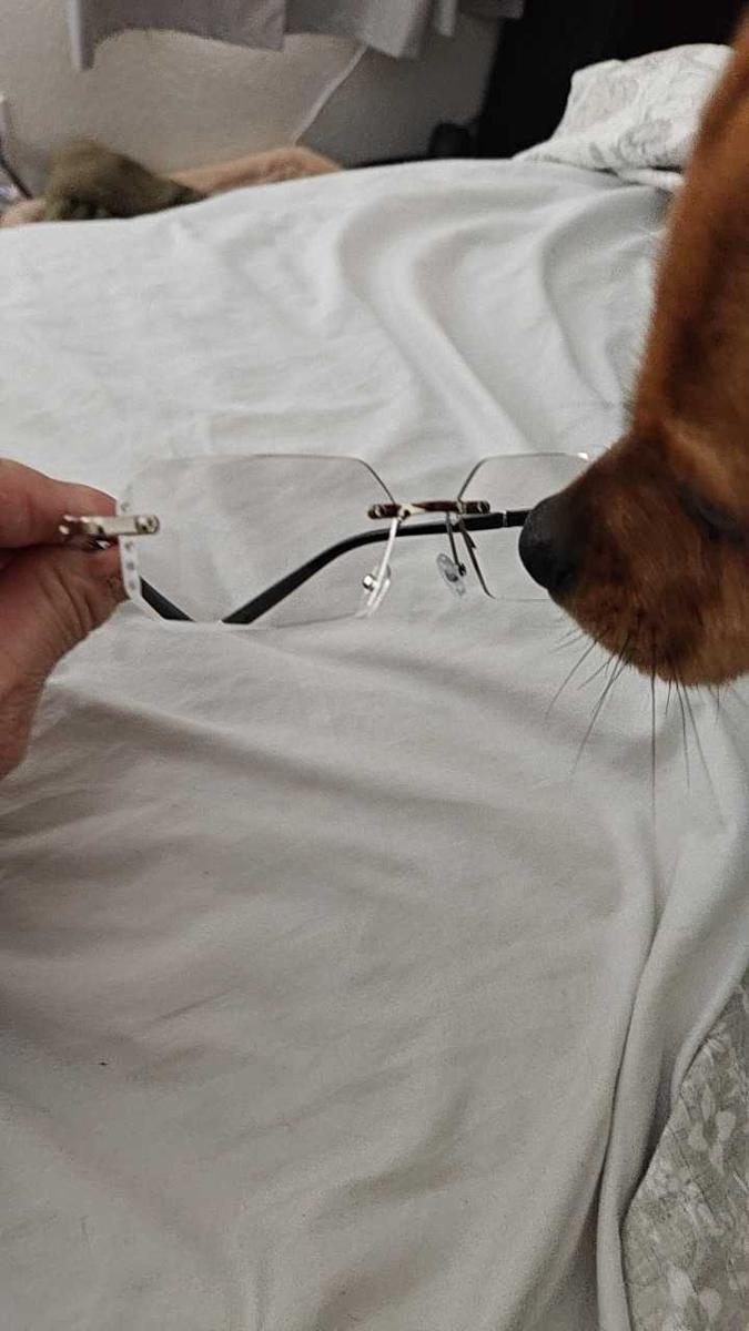 Item: rimless glasses
