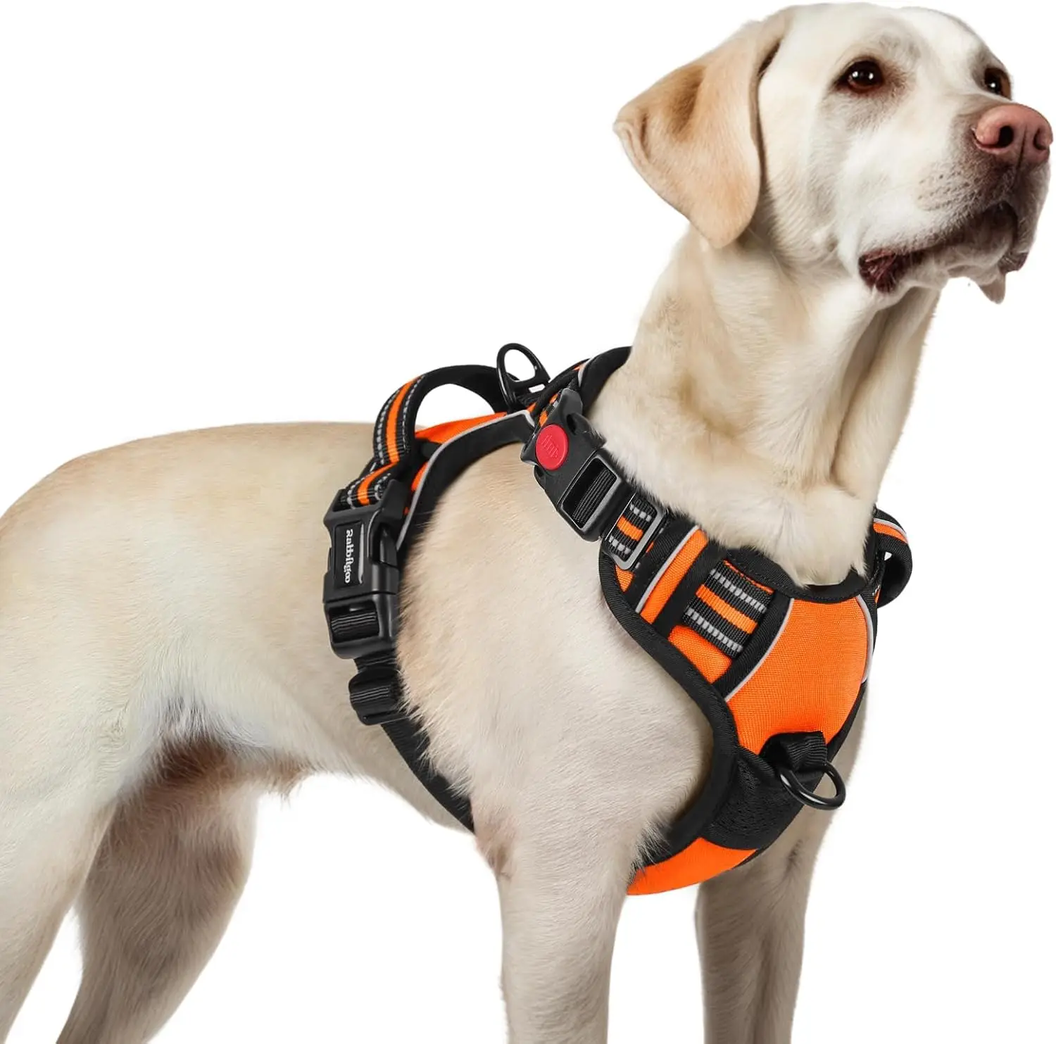 rabbitgoo Dog Harness for Large, Updated Easy On & Off with 3 Buckles | No Pull No Choke, Walking with 2 Clips and Handle, Adjustable Soft Reflective, Orange, Large