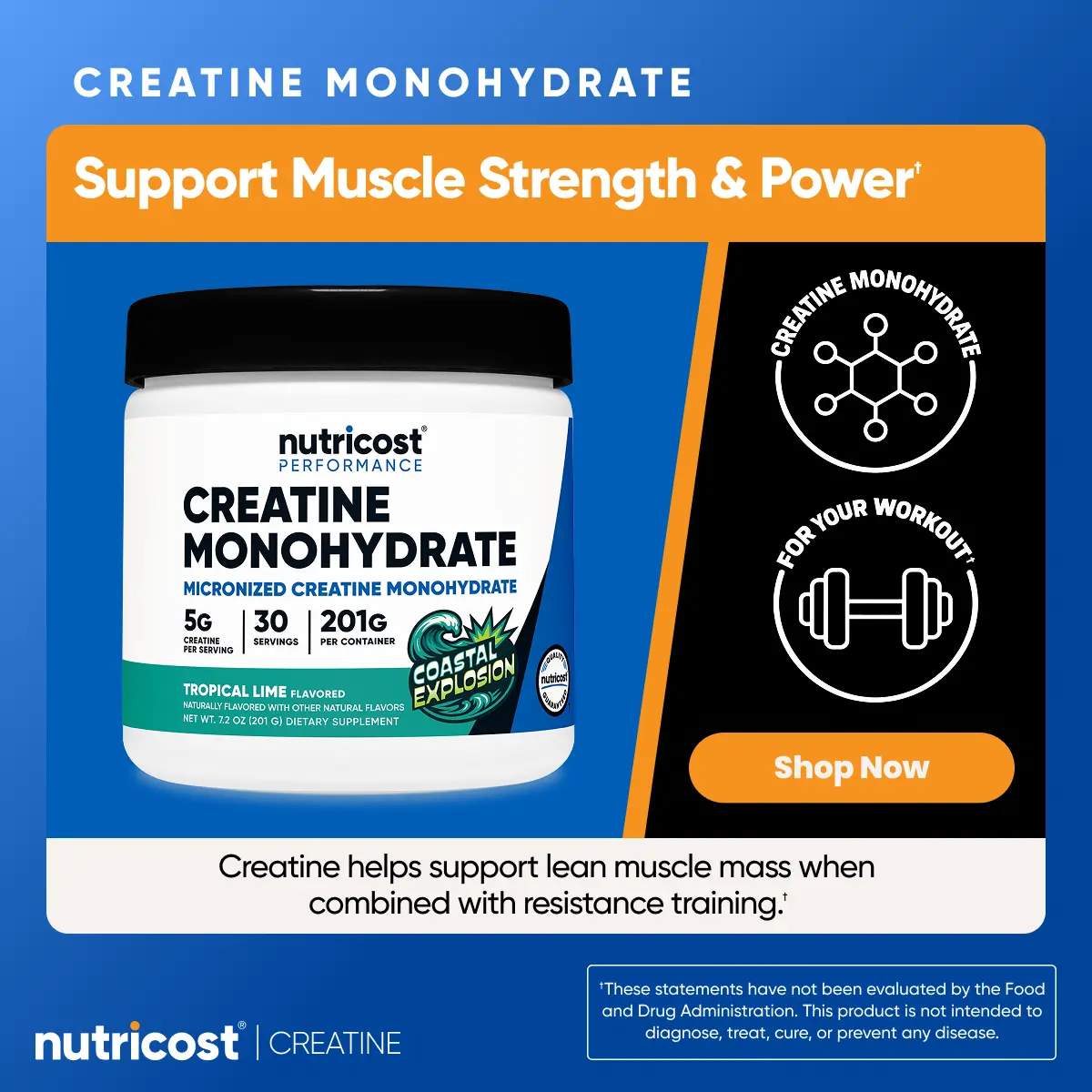 Nutricost Micronized Creatine Monohydrate Powder Supplement Nutricost Micronized Creatine Monohydrate Powder Supplement