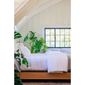 Signature 100% Certified Egyptian Cotton 4pc Sheet Set with Gift Box