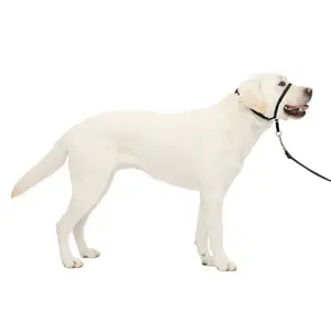 Gentle Leader No-Pull Dog Headcollar - The Ultimate Solution to Pulling - Redirects Your Dog's Pulling For Easier Walks - Helps You Regain Control