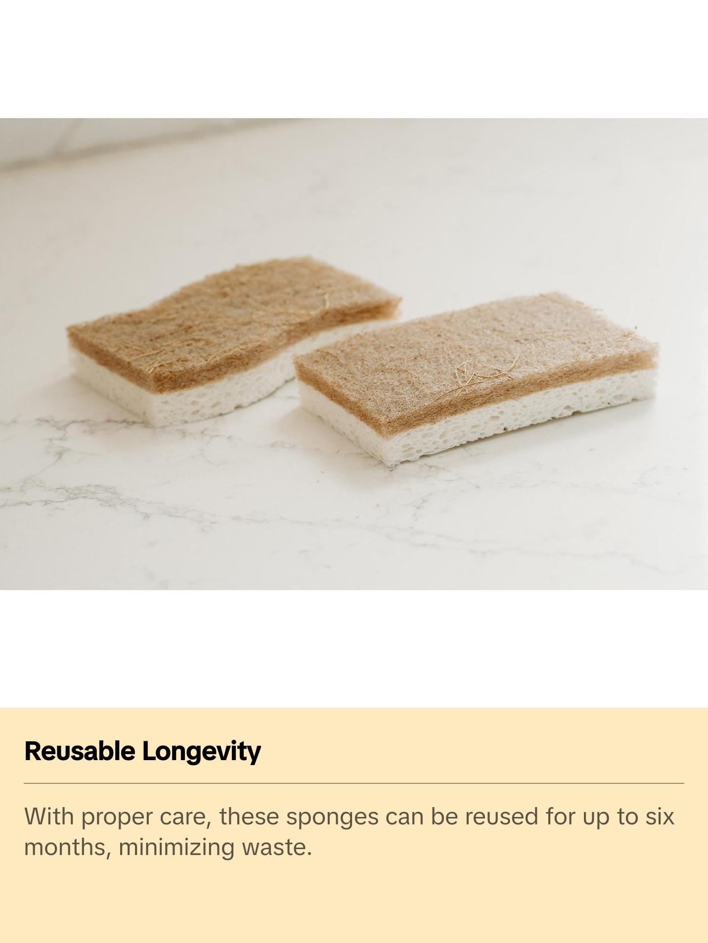 Biodegradable Sponges