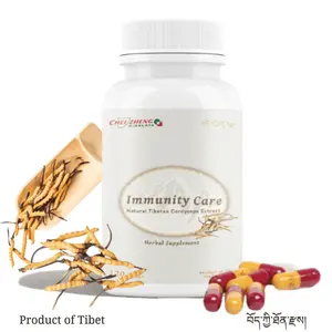 CheezhengHimalaya Cordyceps Capsules, Immune & Kidney Support with Cordyceps Sinensis, Respiratory Wellness, Non-GMO, Vegan, 120 Capsules