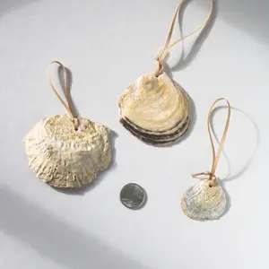 Oyster Shell Ornaments Decor Hand