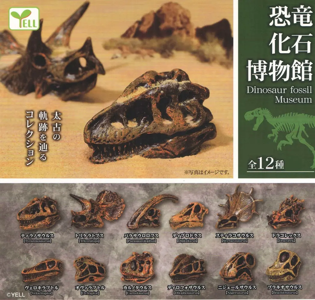 067 PVC Unisex Paleontology Capsule Dinosaur Fossil Museum Figurine Set - Over 8 Collectible Statues for Entertainment