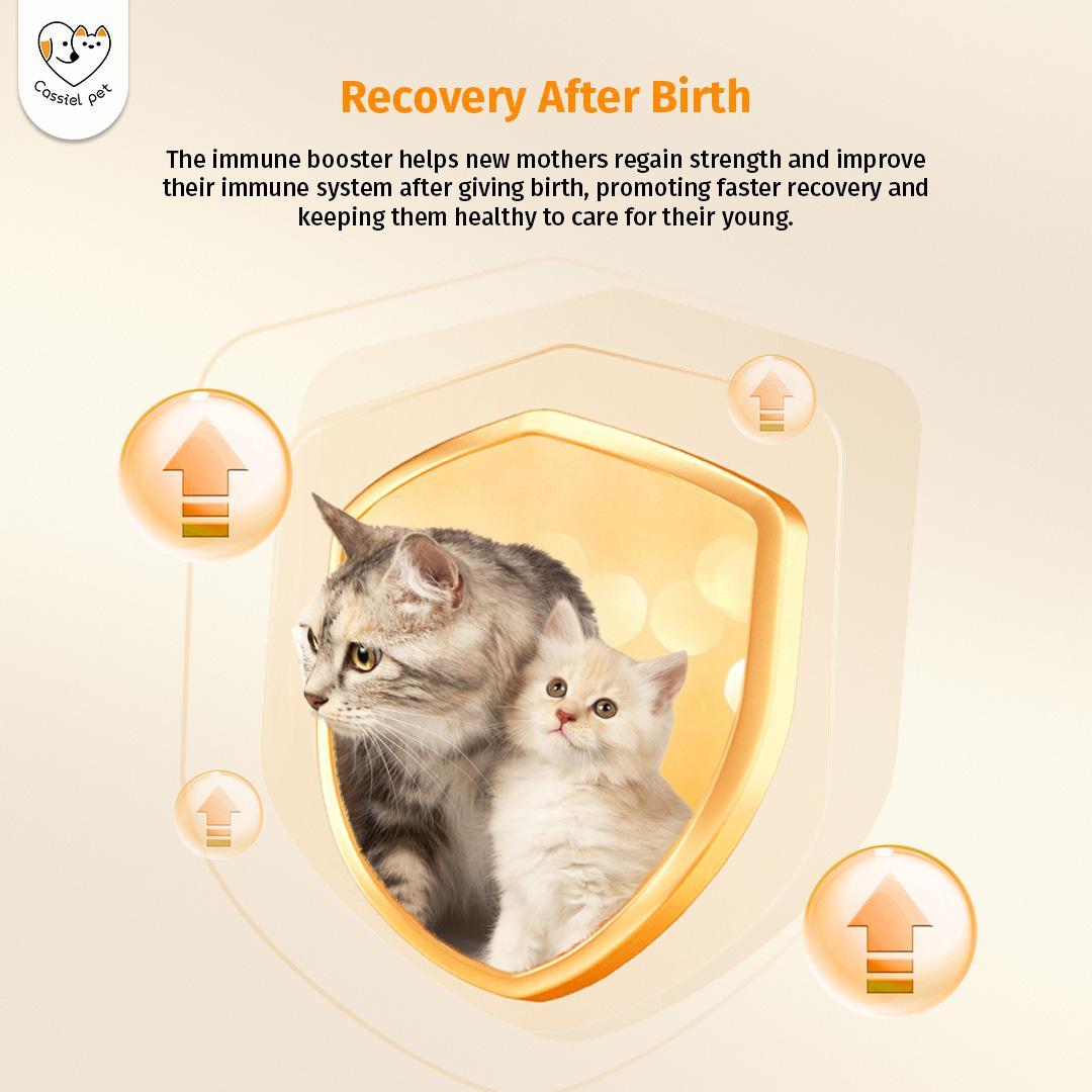 Cassiel Pet Immune Booster for Dogs & Cats - Natural Nutritional Syrup, Supports Daily Wellness, Energy & Vitality, Plant-Based Formula, 60ml