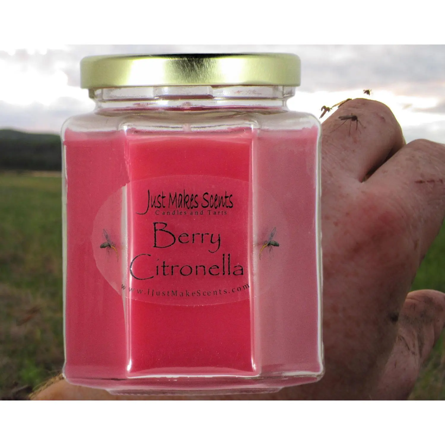 Berry Citronella Mosquito Repelling Candles (For Indoor Use)