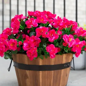 6pcs Artificial Azalea- Realistic Fabric, Lifelike Artificial Flower, Perfect for Summer Season, Outdoor Patio, Wedding Party Decorations, Table Centerpieces suitable for indoors and outdoors, Valentine's Day, Artificial Fake Flowers, Decorative Flowers