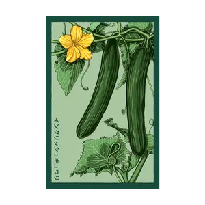 English Cucumber Vegetable Seeds Packet