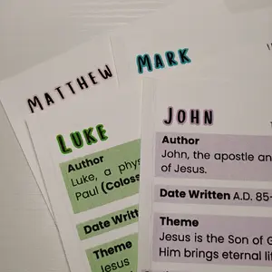 Peel n Stick Books of the Bible Gospel Outline - Comprehensive Overview of the four gospels - Easy Read Scripture Summary - Ideal for Bible Study & Reference