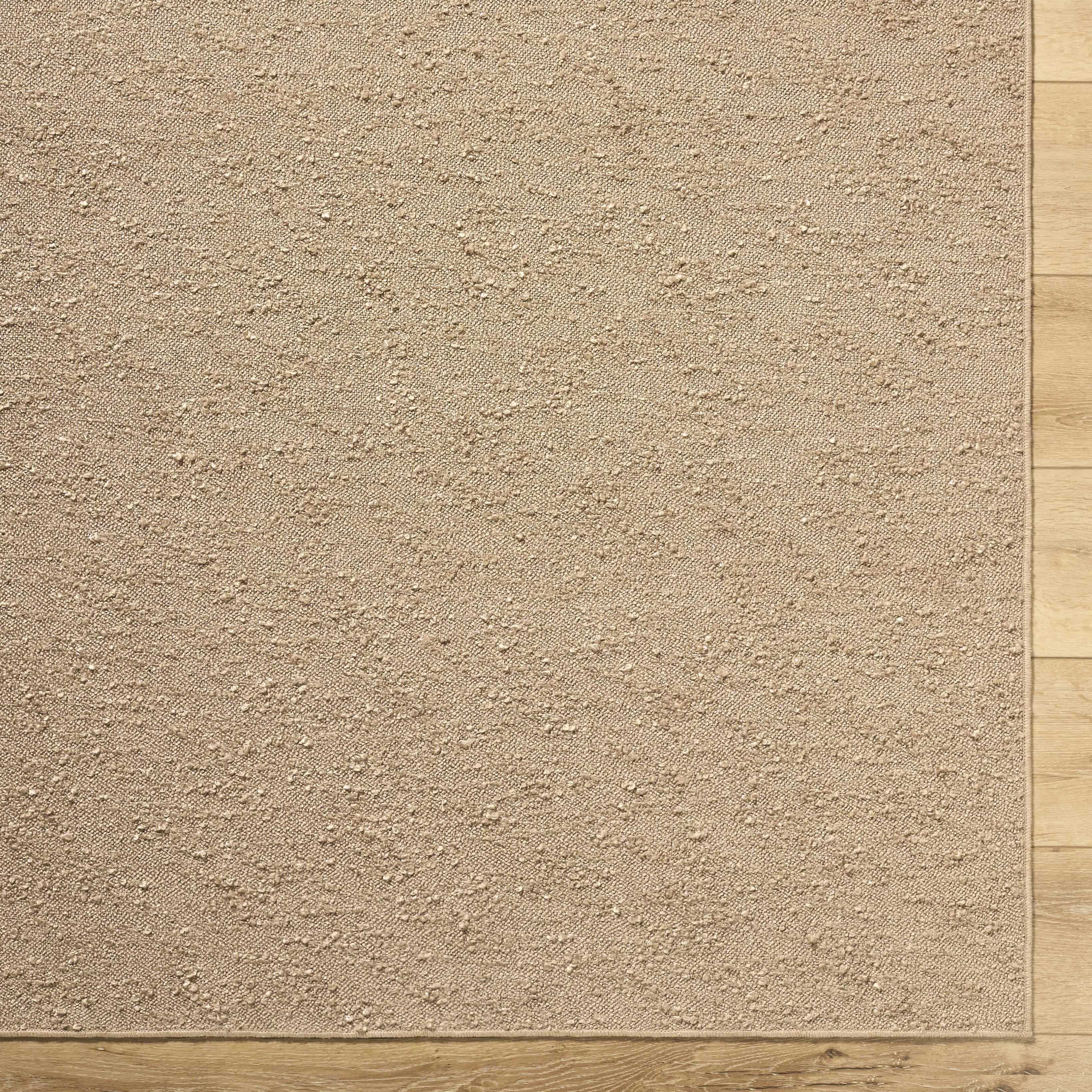 Breena Solid Taupe Washable Area Rug - Home Decor Mat for Entryway