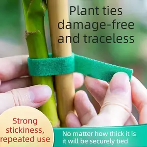 Velcro cable ties for bundling green plants, green tree binding, plant support, and uprighting without damaging the plants.
