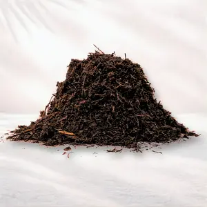 Tree Fern Fiber | Premium Moisture-Retentive Substrate for Orchids & Epiphytes
