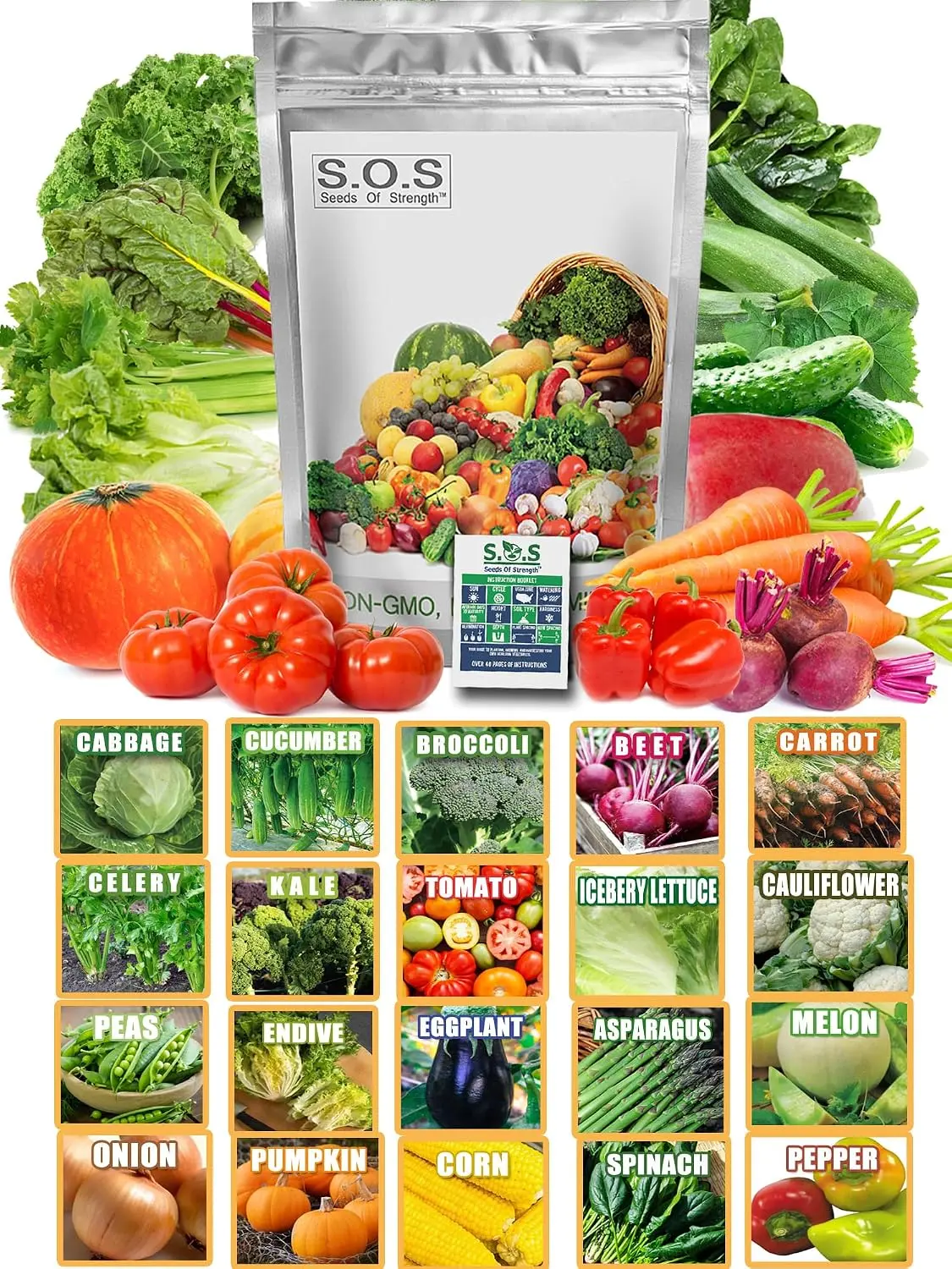 13,500+ Vegetable & Fruit Seeds Variety Pack, 25 Heirloom Garden Seed Varieties, Mega Seed Starter Kit for Home Garden Planting & Gardening Gift