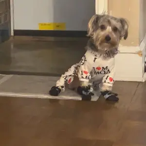 Pet Potty Training Pad, 1 Count Artificial Grass Dog Potty Pad, Easy Clean Anti-odor Toilet Training Tool