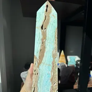 Large Caribbean calcite tower