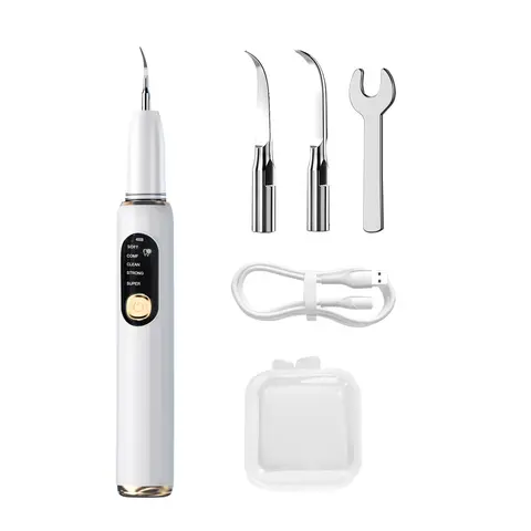 Rechargeable Oral Irrigator Electric Plaque Remover Kit - Handy Personal Care Gadget, 5 Adjustable Vibration Modes, 2 Replaceable Heads, LED Light, IPX8 Waterproof, Daily Cleansing for Home & Travel Use