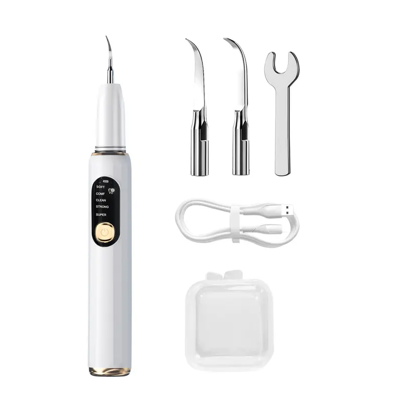 Rechargeable Oral Irrigator Electric Plaque Remover Kit - Handy Personal Care Gadget, 5 Adjustable Vibration Modes, 2 Replaceable Heads, LED Light, IPX8 Waterproof, Daily Cleansing for Home & Travel Use