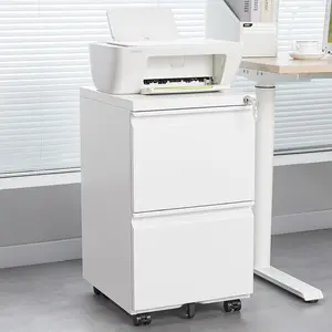 2 Drawer Mobile File Cabinet with Lock, Rolling Metal Filing Cabinet for Office Home, Under Desk Storage Cabinet Fits Letter Legal A4 Files with Wheels Rolling Under Desk File Cabinet