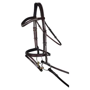 Schneiders Monocrown Flash Bridle with Crystal Swoop Browband