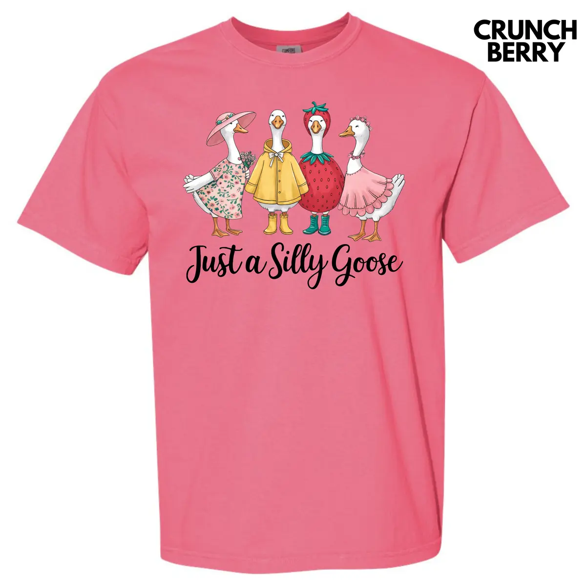 Silly Goose Group Comfort Colors T-Shirt 'NLB'