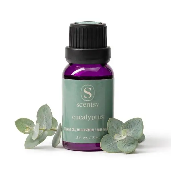 Scentsy Eucalyptus Essential Oil, 100% Pure, 0.5 Fl Oz, Home Diffuser Oil