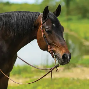 Schneiders Harness Leather One Ear Headstall with Black Rawhide