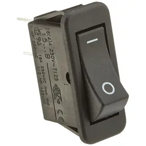 Raypak  Rocker Switch Kit