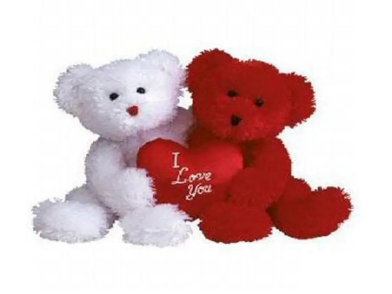 TY Classic Plush - TRULY YOURS the Bears (both together) (9.5 inch) - MWMTs