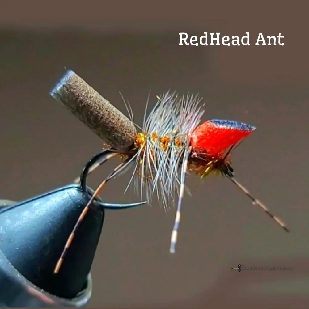 Black Fly 2-Pack (Redhead Ant) Terrestrial Dry Fly, Dry Flies For Trout, Fly Fishing Ants, Beetle, Stonefly, Hopper, Flies for Dry Fly Fishing, Tenkara or Traditional Dead Drifting, A Custom bug for Trout, Panfish, Grayling by Black Fly Creations