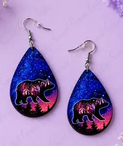 Night sky and Bear