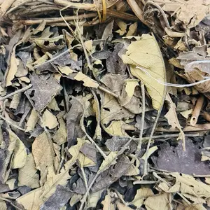 Fey bwa dòti Tea Beverage Herbal