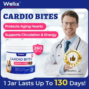 Wellix 260-Count Dog Cardio Bites with CoQ10, Promotes Heart Health & Vitality, Provides Antioxidant & Energy Boost, Chicken Flavor