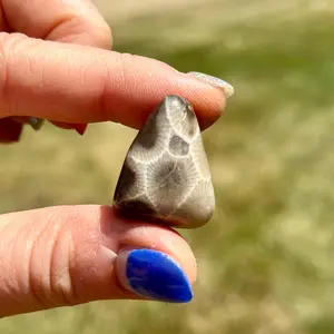 Petoskey Stone Tumbled Crystal - Grade AA Tumbled Petoskey Stone - Petoskey Stone from Michigan - Polished Petoskey Stone - Michigan Crystal
