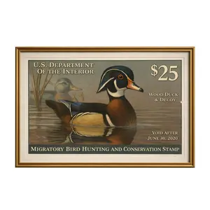 Vintage Wood Duck Conservation Stamp Poster, Classic Waterfowl Wall Art for Cabin, Lodge or Man Cave Decor, Meaningful Gift for Hunters & Nature Lovers