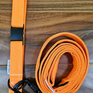 Neon Orange Dog Collar Leash Combo Pack