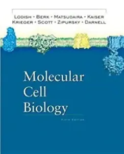 USED-Molecular Cell Biology by Arnold Berk (Hardcover)