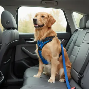 Wiggly Tails Safe Ride Car Lead