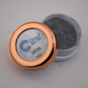 Silver chrome / nail art / tráng gương