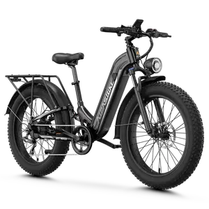 Aipas® M1 Max Hydraulic Brakes Ebike