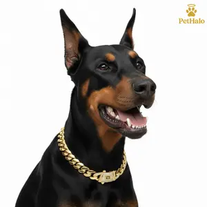 Dog Cuban Chain Collar 14k real gold plated– Heavy Duty Stainless Steel Dog Necklace Secure Buckle, Pet Jewelry & Accessories for Large Dogs Gift for dog 16/18/20/22/24/26inch pet necklace