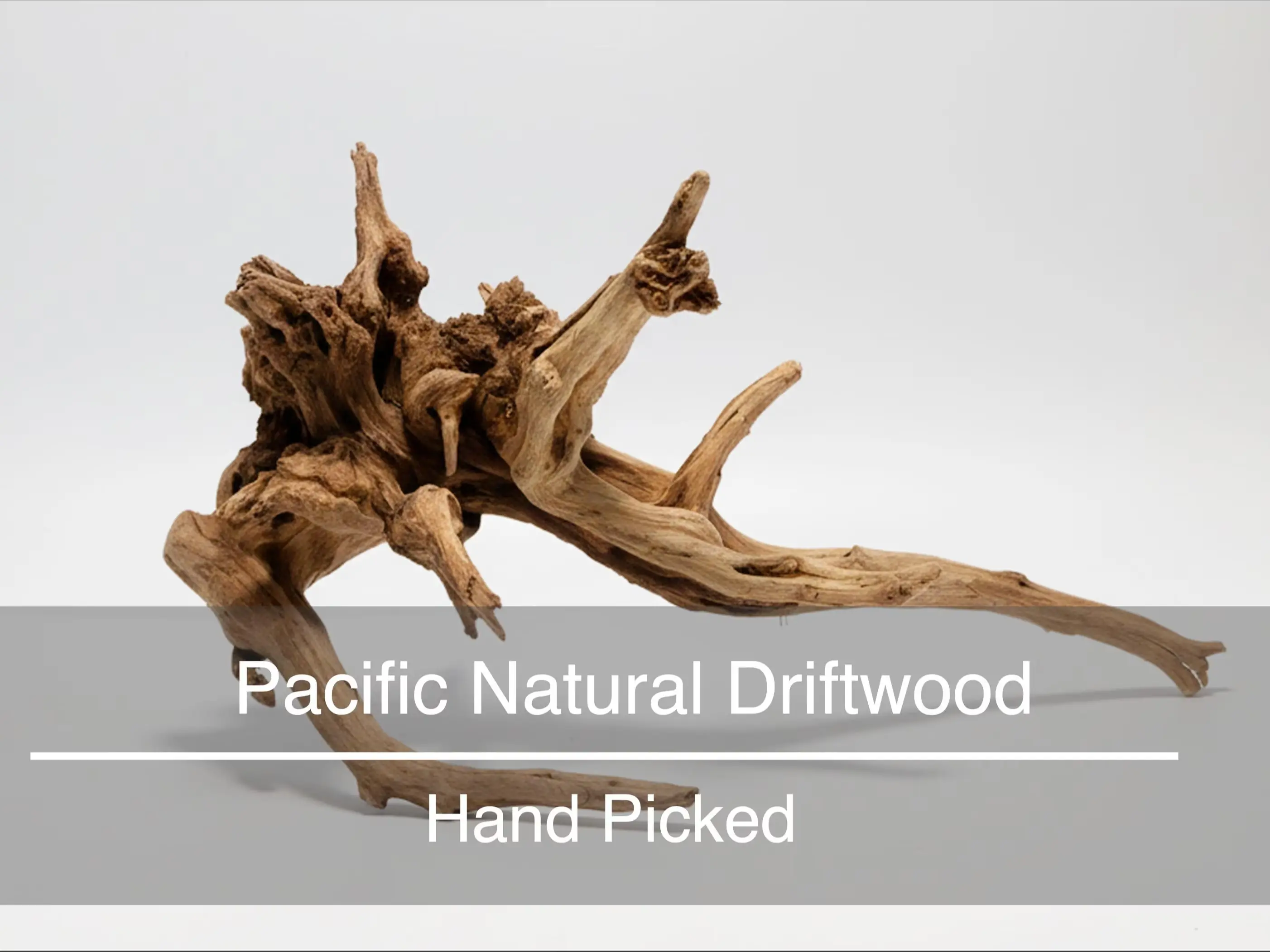 Pacific Natural Driftwood Aquarium Decoration Aquascape Hardscape