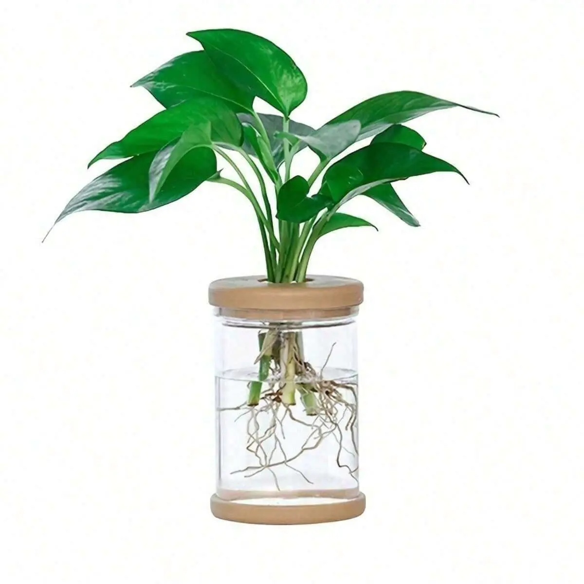Transparent Hydroponic Plant Pot, Clear Nursery Pot, Glass-Like Design, Soilless Growing, Plants, Resin Window Sill, Garden Tools, Indoor Decorative Pots, Planter Pots for Indoor Plants