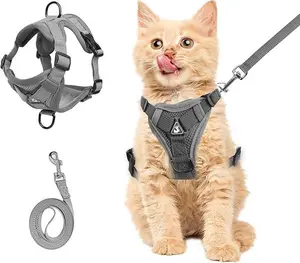 Small Dog or Cat Harness – Soft Mesh Puppy Harness and Leash Set Escape-proof cat harness, suitable for training and walking. Adjustable harness for small to medium dogs and cats.