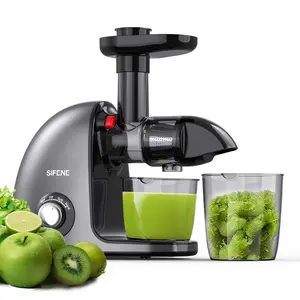 Cold Press Juicer, Slow Masticating Juicer Machines for Fruit Vegetable, Juice Yield Maker Extractor with Quiet Motor Anti-Clog System, Easy to Clean, Gray